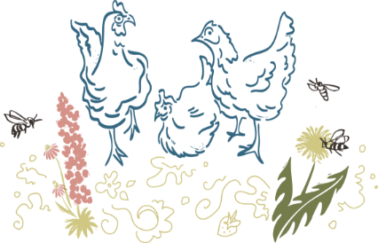 An illustration of hens in the garden
